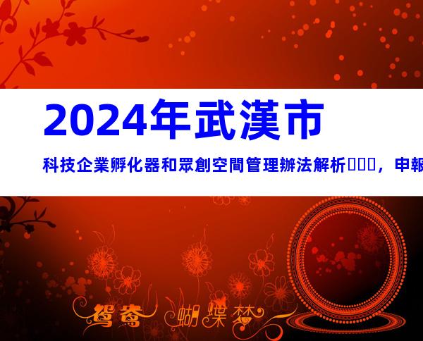 2024年武漢市科技企業孵化器和眾創空間管理辦法解析，申報條件、流程